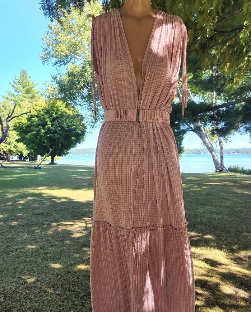 Sabina Musayev Blush Pink Maxi Dress with Plunging V-Neck - Picture 2 of 9